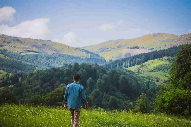 胃病吃什么菜好(患胃病吃什么食物好)
