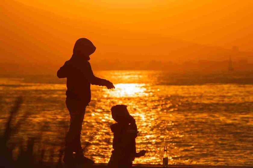 为什么会秃顶(人为什么会出现秃顶)